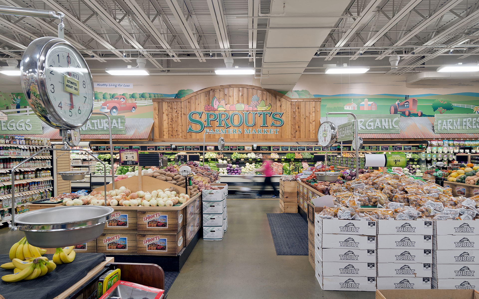 Grocery & Distribution Sector