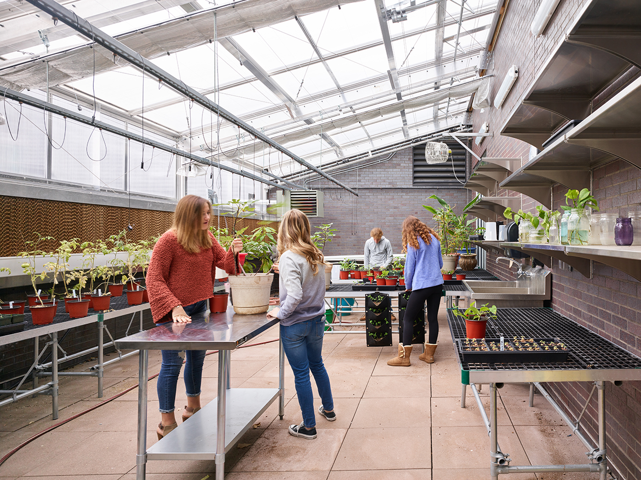 Students working in a greenhouse