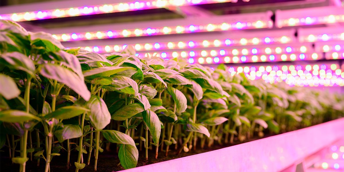 Henderson’s Insights from Indoor Ag-Con 2023