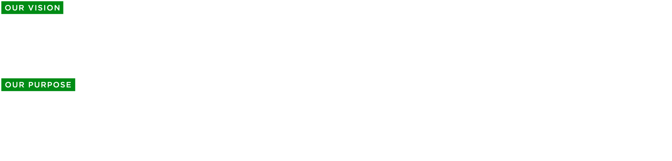 Henderson Engineers Vision & Purpose